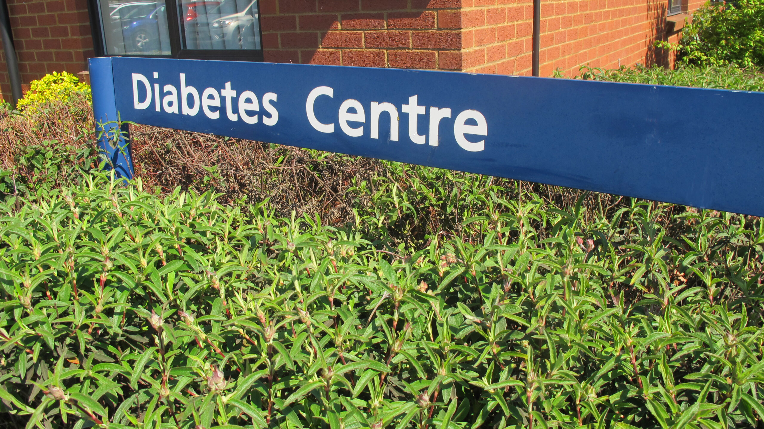 4YP youth workers at the Ipswich Hospital Diabetes Clinic 4YP For